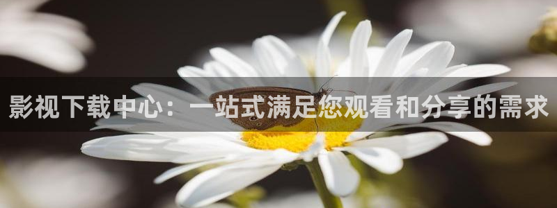 连裤袜神马影视