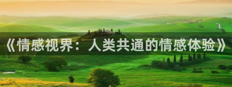 韩国电影神马伦理片