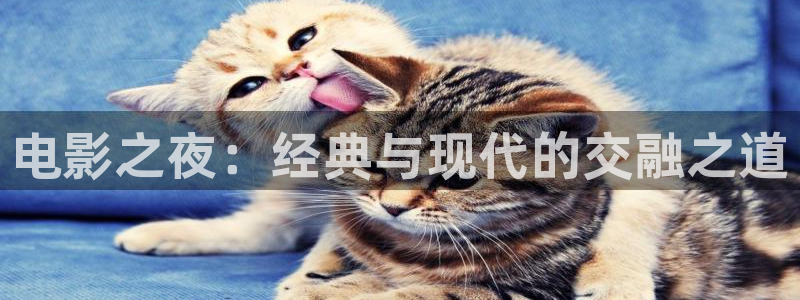 神马影视首页