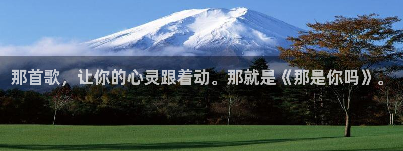 神马电影飘花