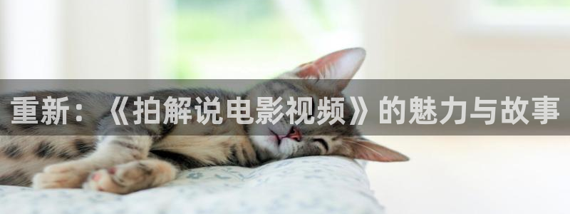 午夜tv神马影院
