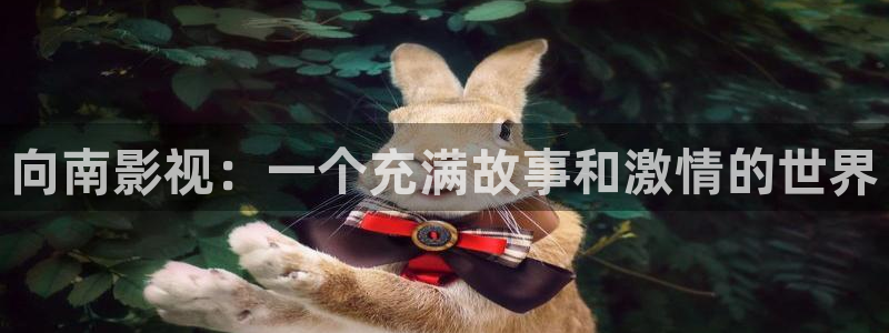 神马日本午夜影院