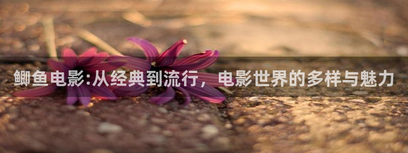 钢铁侠3神马影院