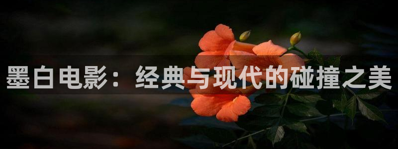 神马电影院电影在线将夜