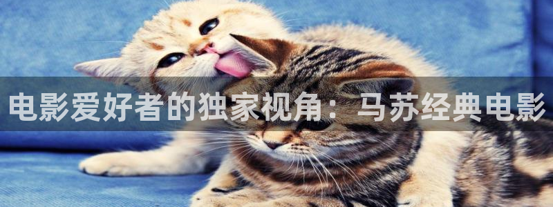 91名站神马电影