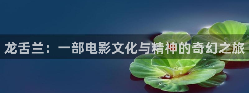 国语神马电影全集