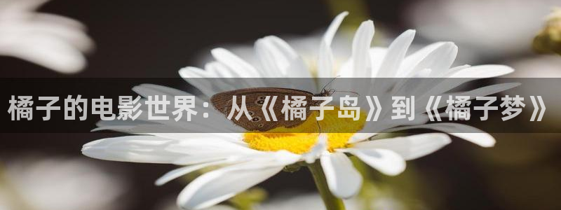 ok电影神马