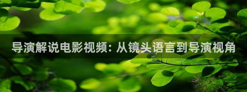 2017神马影院