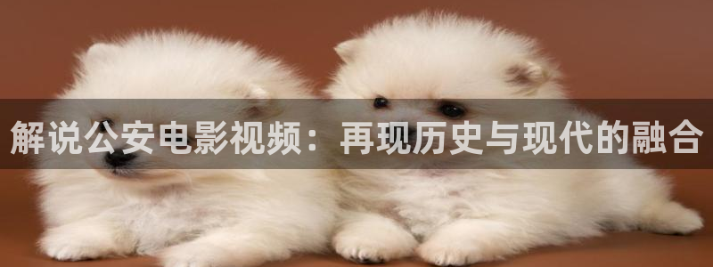 神马电影手机不卡网