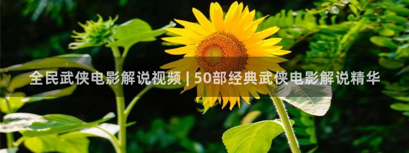 神马影院在线观看伦理电影