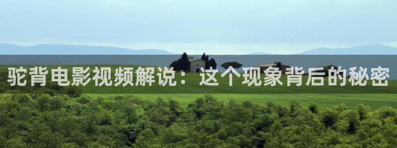 神马在线影院播放