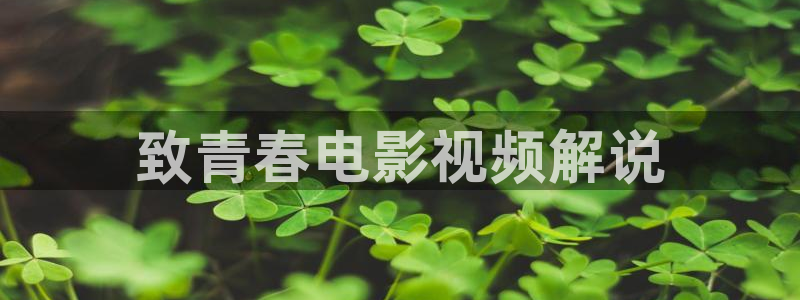 战狼神马电影在线观看