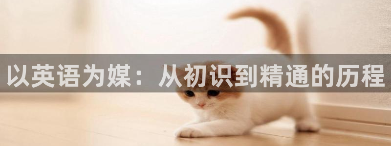 神马影院日韩伦理