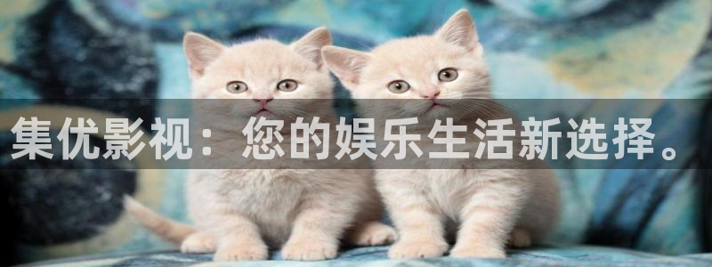 神马影视手机在线观影