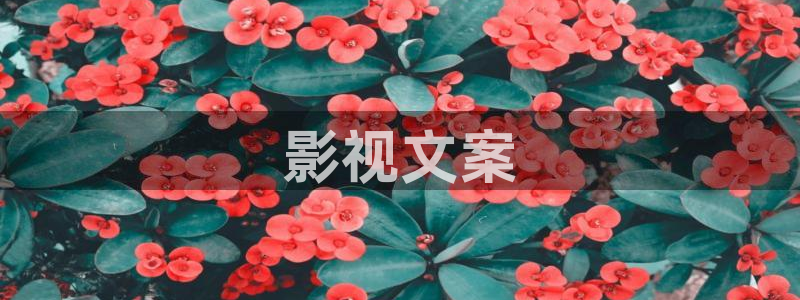 神马影院在线伦理
