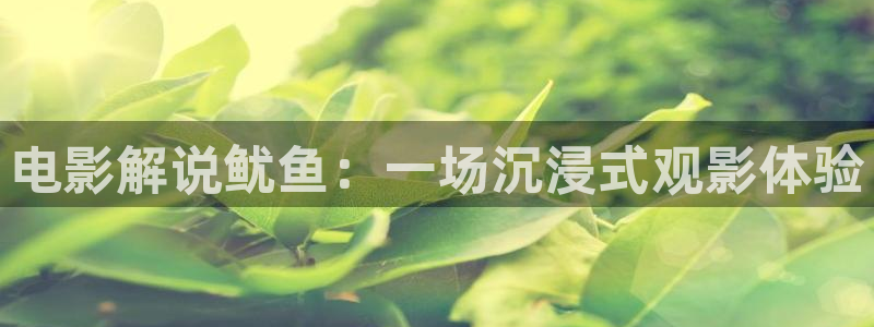 叫神马影院理论片