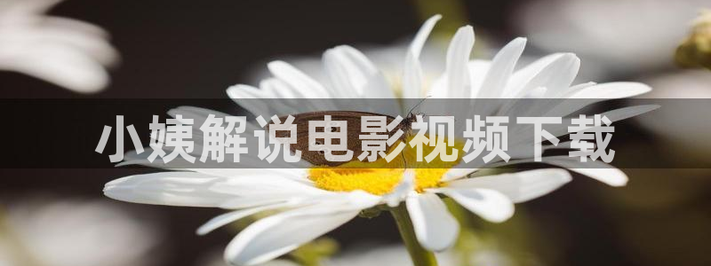 看片神马电影院