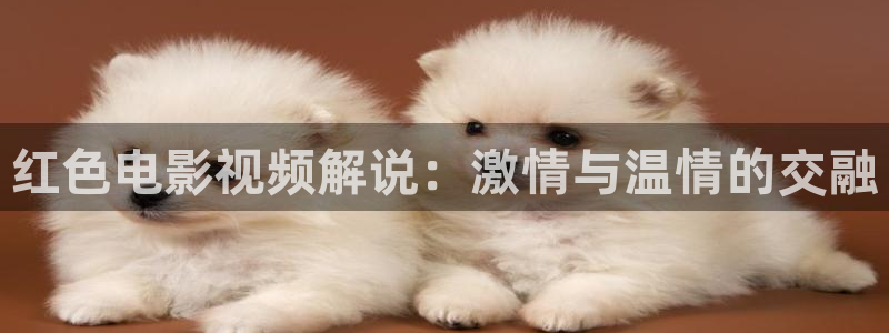 神马电影伦理不卡