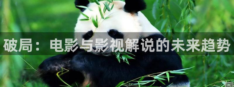 神马影院免费在线观看视频