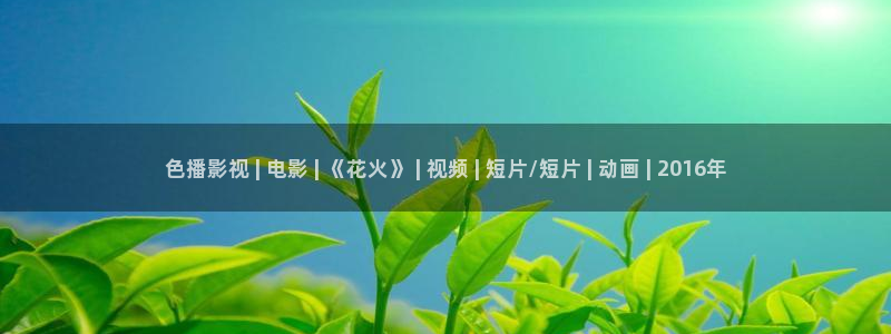爱情神马电影院