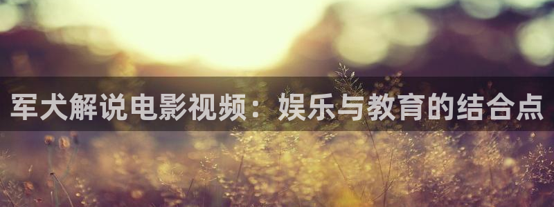 神马电影手机不卡