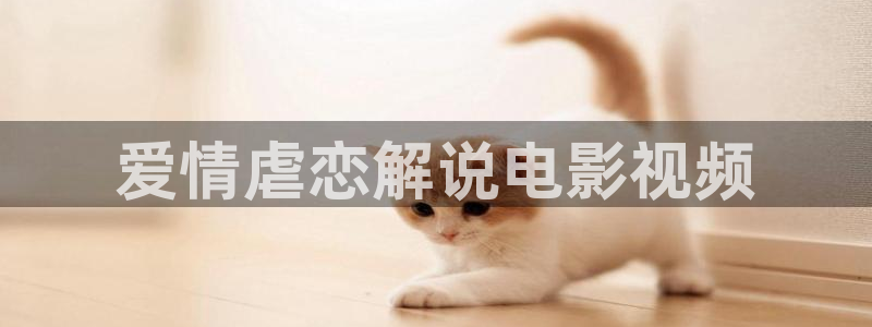 ok神马影院