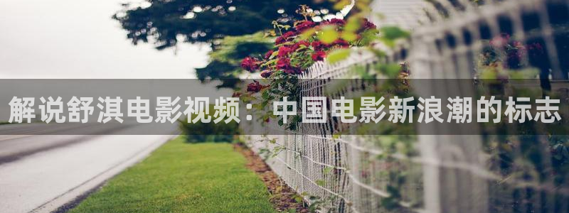 神马免费看电视剧电影：解说舒淇电影视频：中国电影新浪潮的标志