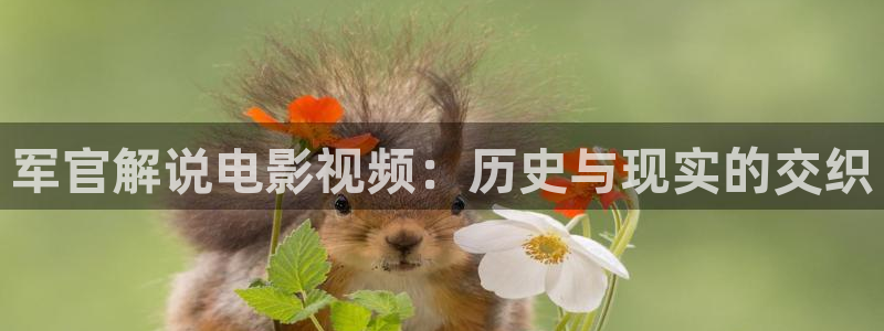 神马电影51：军官解说电影视频：历史与现实的交织