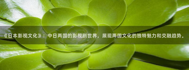 未来影院神马电影：《日本影视文化》：中日两国的影视剧世界，展现两国文化的独特魅力和交融趋势。