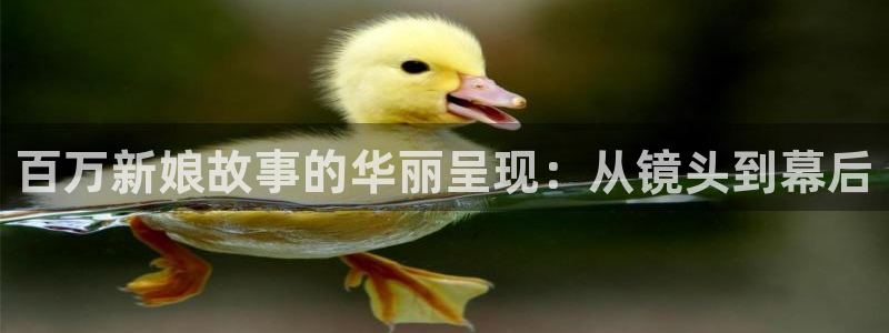 神马不卡电影网：百万新娘故事的华丽呈现：从镜头到幕后