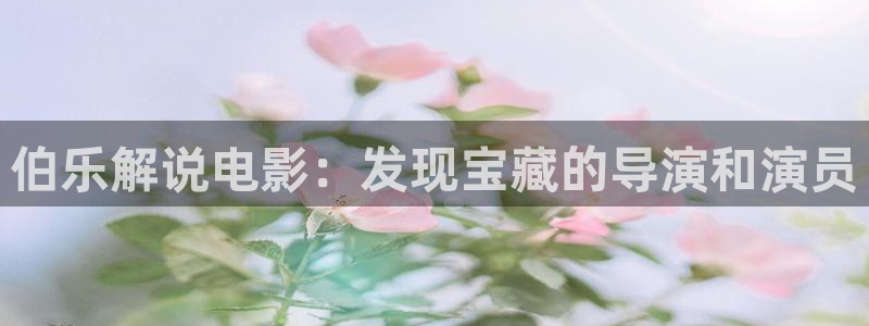 神马影院全职高手免费观看：伯乐解说电影：发现宝藏的导演和演员