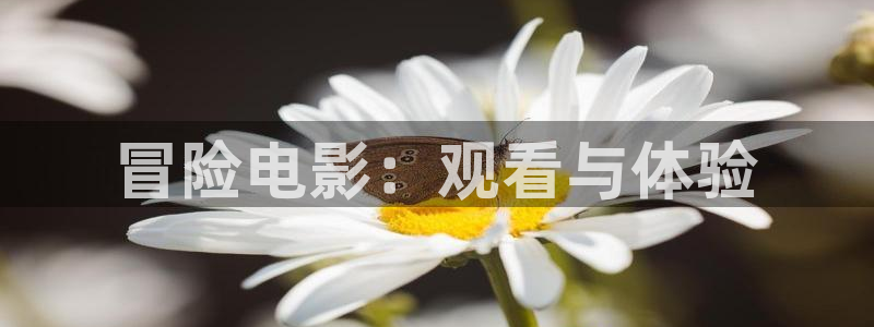 神马影院福利我不卡