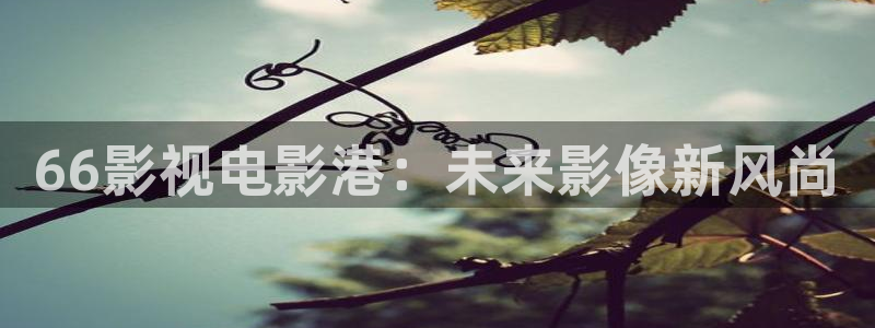神马影院最新在线观看