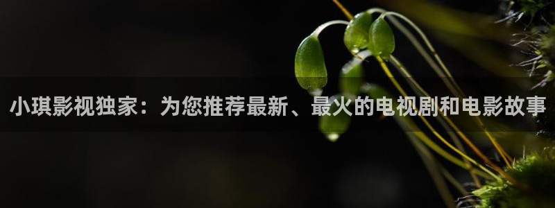 神马影院电影免费观看
