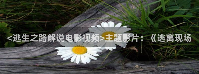神马第九影院伦理