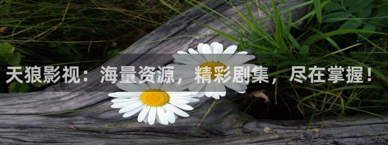 神马在线神马影院