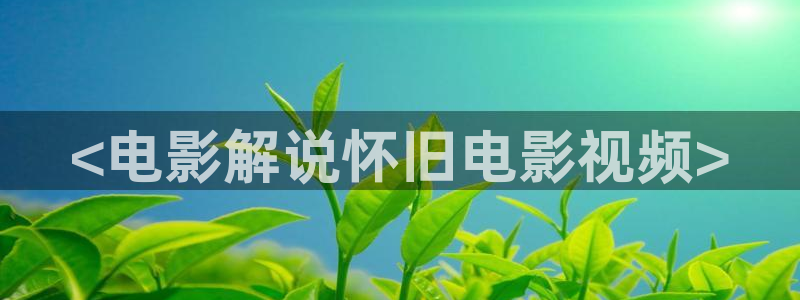 神马电影特级