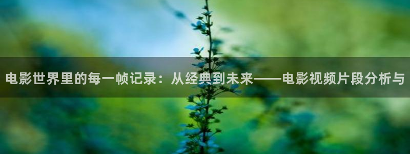 神马影视手机免费版