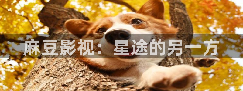 神马影院第九影区