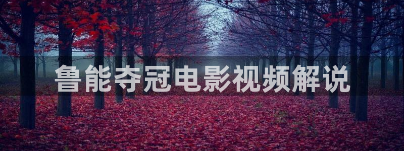 神马真心影院