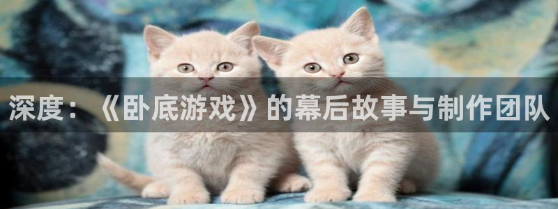 神马影院全职高手免费观看