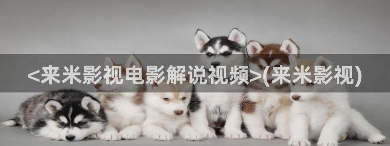 神马国产不卡
