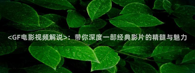 我不卡神马影院在线播放