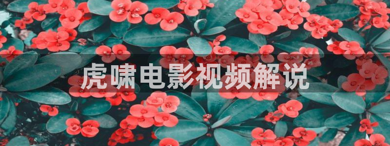 神马小蝌蚪影院