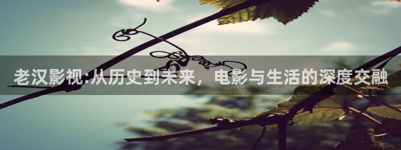 神马电影午夜国产电影