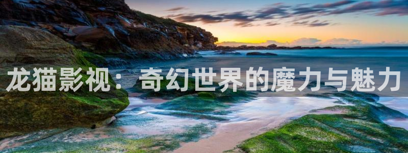 三级伦理片神马影院