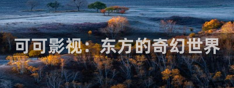神马达达兔影院电视剧免费观看高清