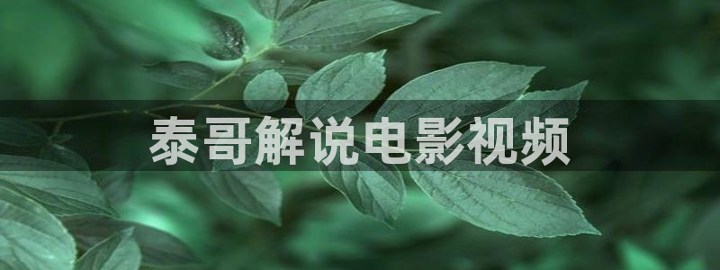悟空神马影视大全